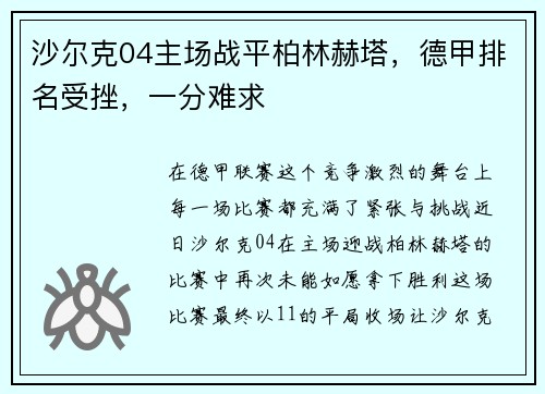 沙尔克04主场战平柏林赫塔，德甲排名受挫，一分难求