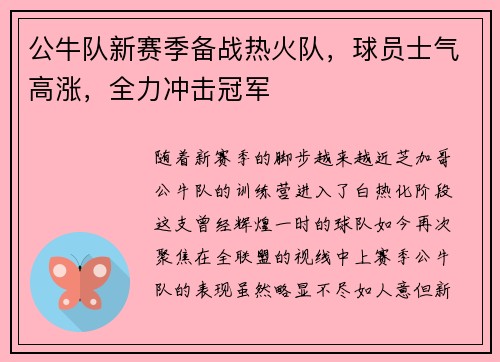 公牛队新赛季备战热火队，球员士气高涨，全力冲击冠军
